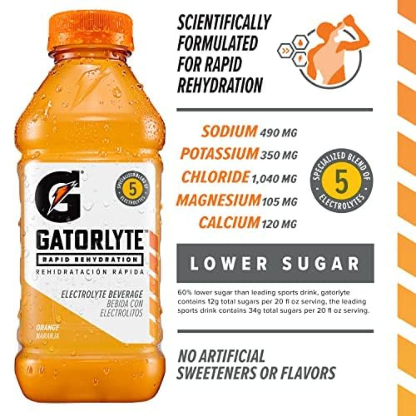 Gatorlyte Rapid Rehydration – 6‑Flavor Variety Pack – 6‑Bottle Sampler or 12‑Bottle Pack – 20oz Bottles – Electrolytes for Fast Hydration