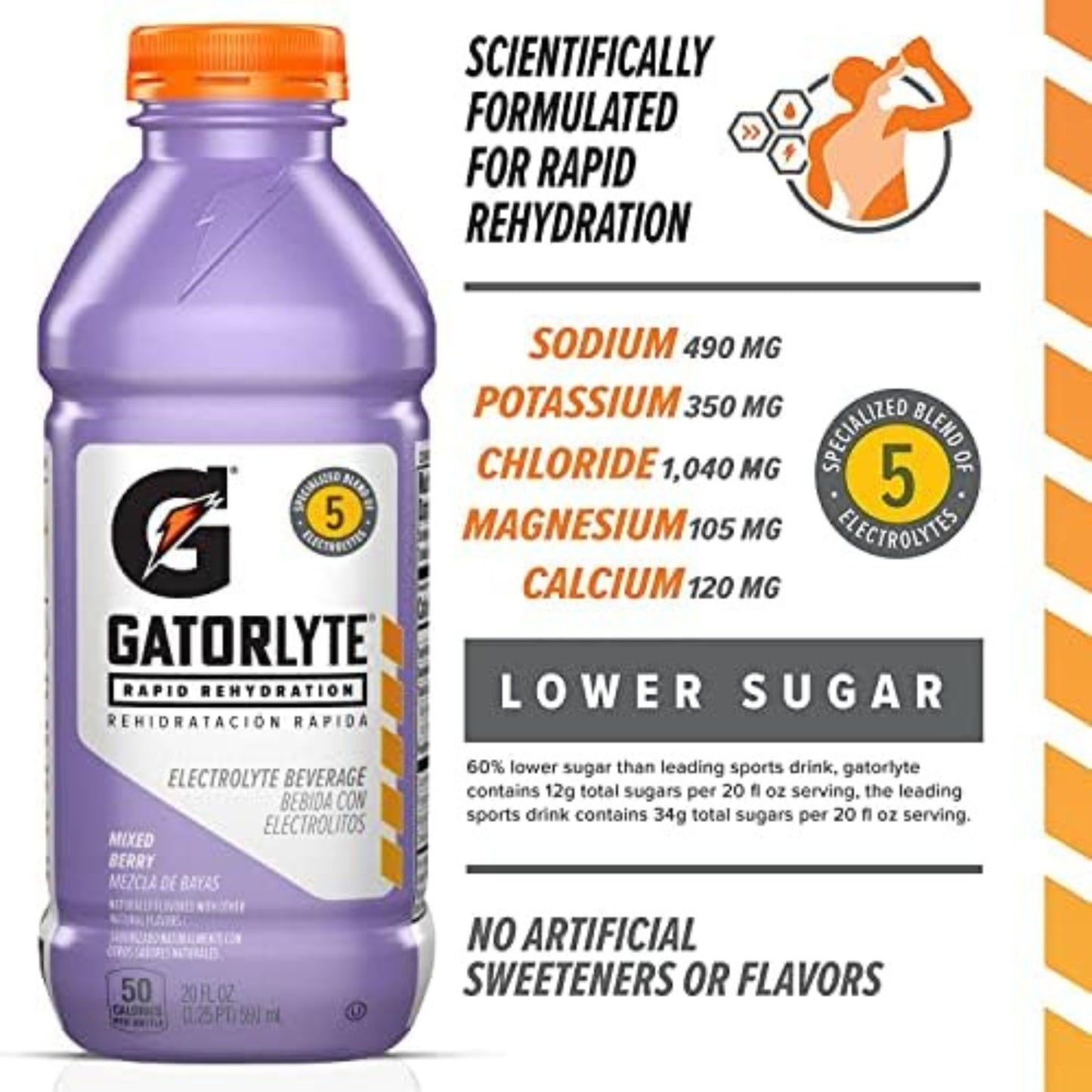 Gatorlyte Rapid Rehydration – 6‑Flavor Variety Pack – 6‑Bottle Sampler or 12‑Bottle Pack – 20oz Bottles – Electrolytes for Fast Hydration