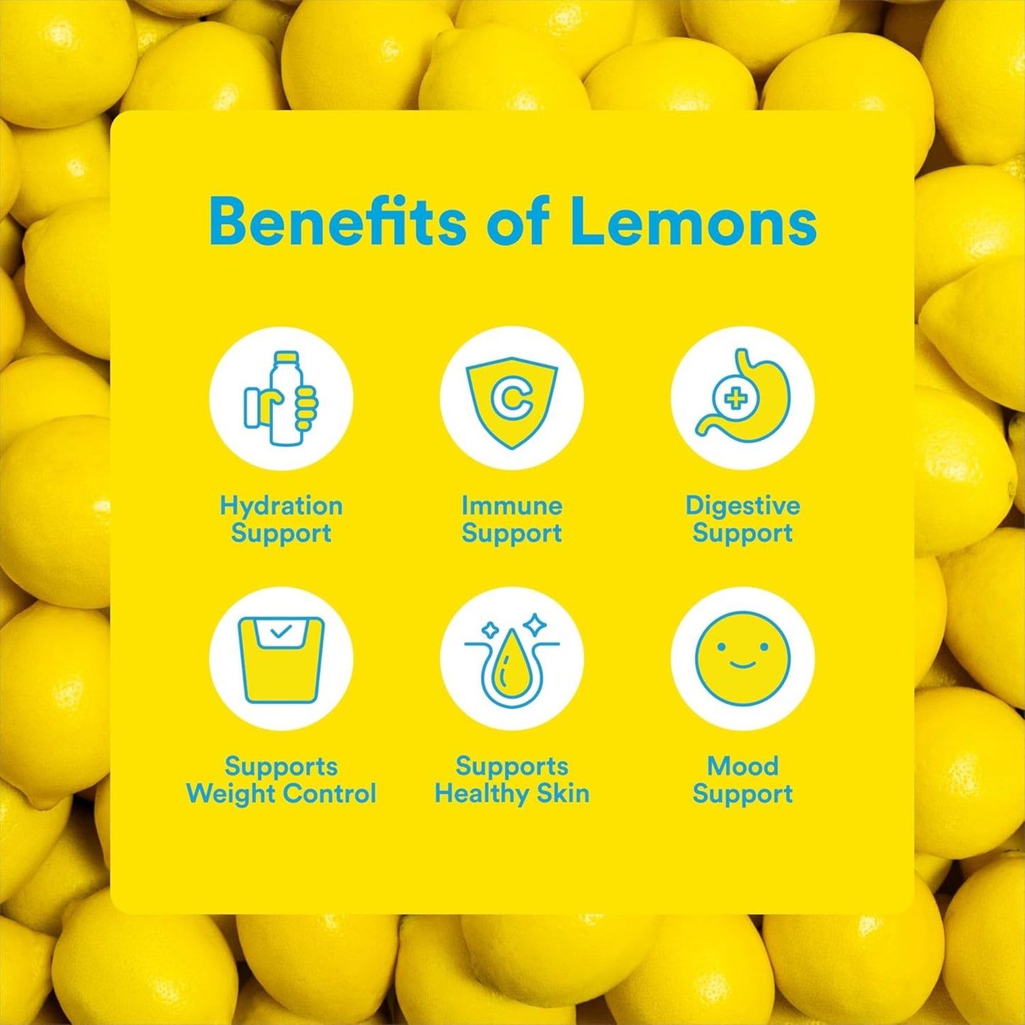 Lemon Perfect – 12‑Bottle Variety Pack – 6 Flavors – Zero Sugar – Organic Lemon Water – Clean Hydration
