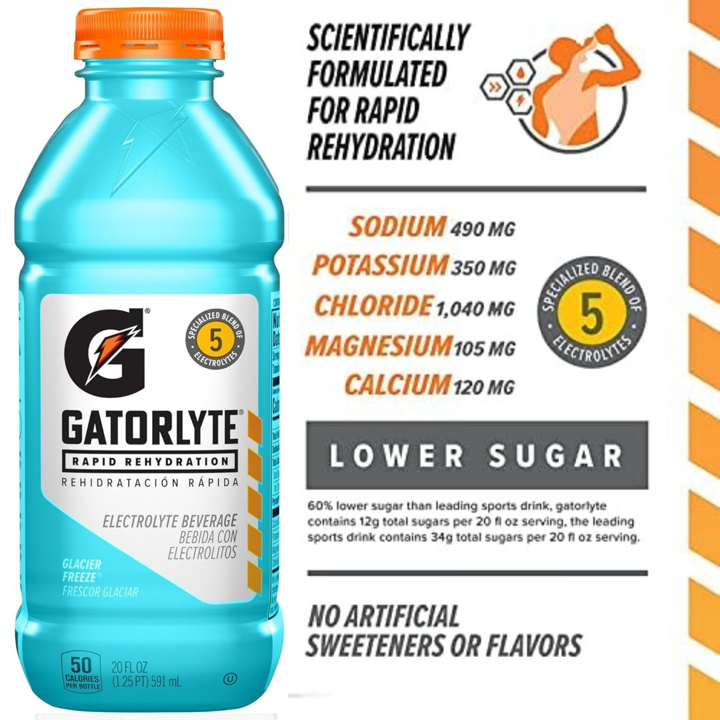 Gatorlyte Rapid Rehydration – 6‑Flavor Variety Pack – 6‑Bottle Sampler or 12‑Bottle Pack – 20oz Bottles – Electrolytes for Fast Hydration