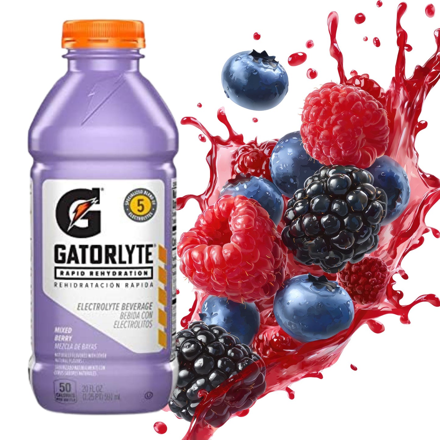 Gatorlyte Rapid Rehydration – 6‑Flavor Variety Pack – 6‑Bottle Sampler or 12‑Bottle Pack – 20oz Bottles – Electrolytes for Fast Hydration