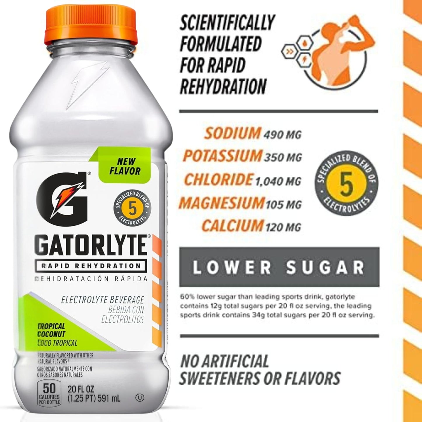 Gatorlyte Rapid Rehydration – 6‑Flavor Variety Pack – 6‑Bottle Sampler or 12‑Bottle Pack – 20oz Bottles – Electrolytes for Fast Hydration
