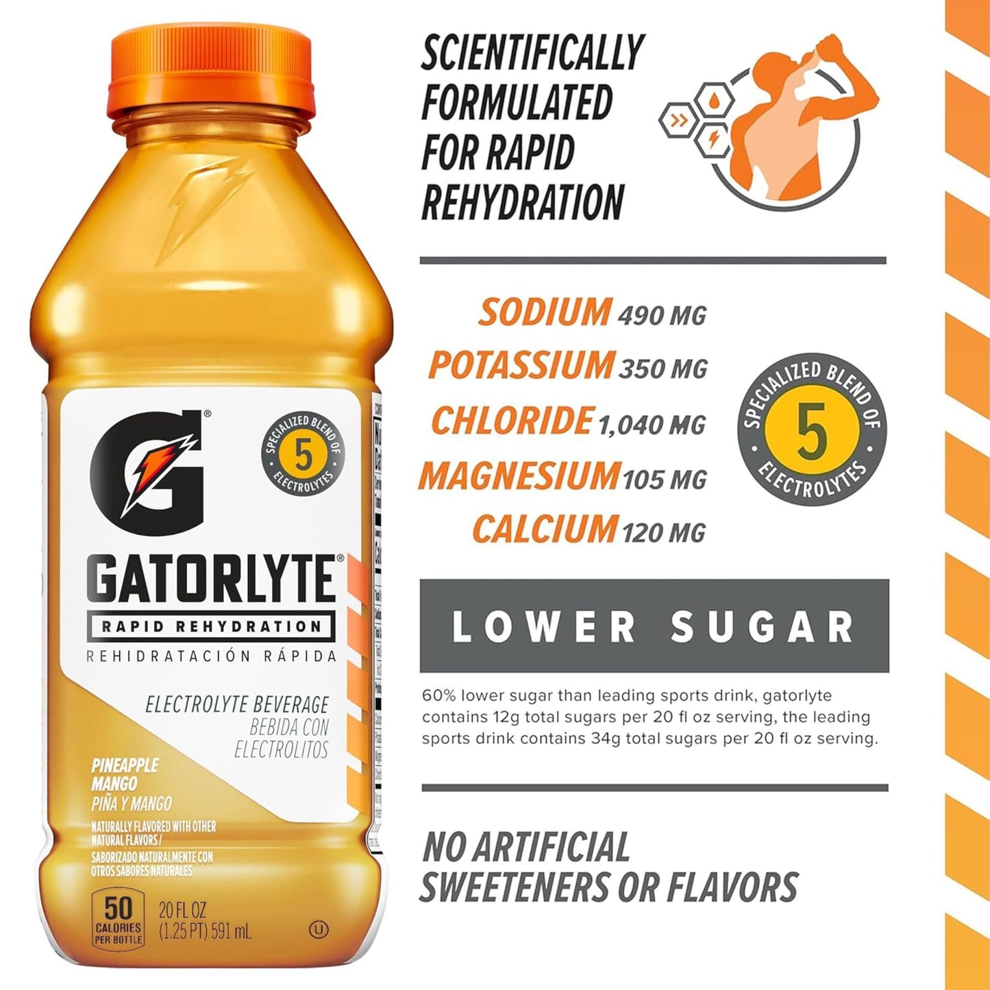 Gatorlyte Rapid Rehydration – 6‑Flavor Variety Pack – 6‑Bottle Sampler or 12‑Bottle Pack – 20oz Bottles – Electrolytes for Fast Hydration