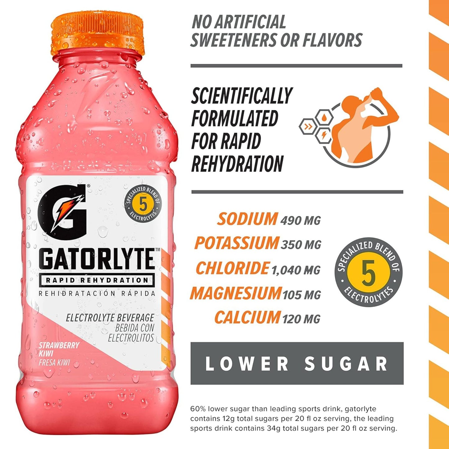 Gatorlyte Rapid Rehydration – 6‑Flavor Variety Pack – 6‑Bottle Sampler or 12‑Bottle Pack – 20oz Bottles – Electrolytes for Fast Hydration